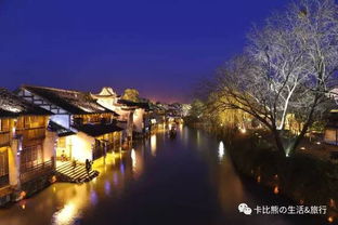 来过,便不曾离开