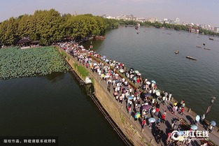 杭州 一日游 涉事企业导游被罚 旅行社负责人致歉