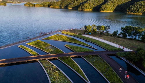 杭州千岛湖旅游怪像,为何收费景点差,免费口碑爆棚