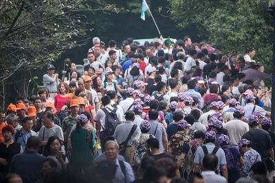 最新数据:1110万人马上就要涌入杭州!这个十一,你会在哪里看人山人海呢?_旅游_网