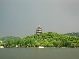 杭州西湖花满池