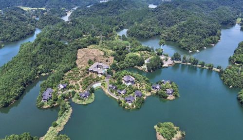 杭州多个旅游景点免费 特价 就在今天