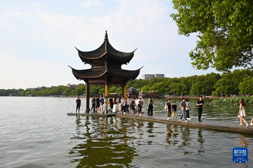 活力中国调研行 杭州西湖游人多