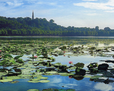 深圳和杭州哪个适合居住?