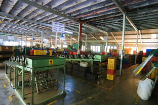 还在喝斯里兰卡红茶 工厂这次被曝光了