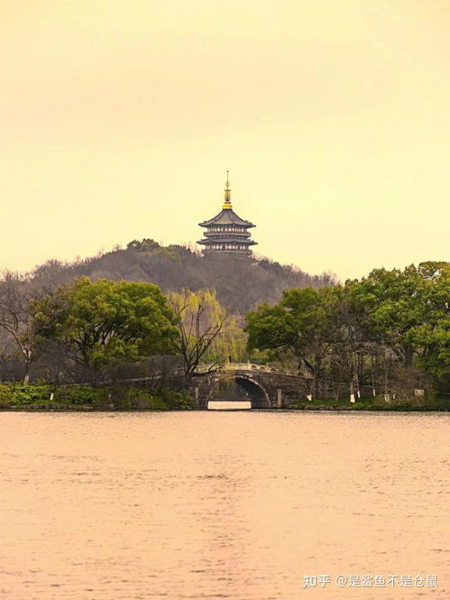 2024杭州旅游攻略 此攻略小白必看 亲身体验玩转杭州心得分享