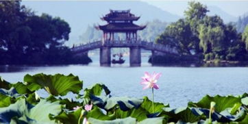 暑期亲子游 杭州入选国内十大目的地和出发地