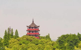 杭衢疗休养合作再升级,快来领取你的福利