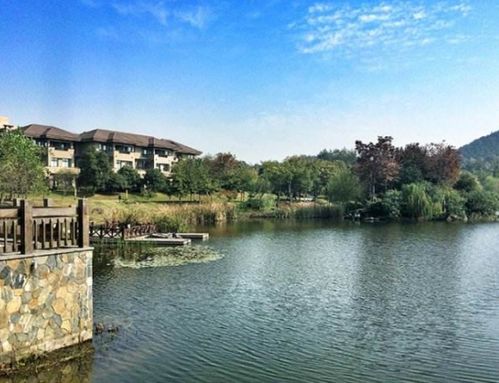 来杭州怎么玩 献上一份小众旅游攻略,带你花式游西湖逛栖塘