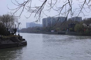 ,杭州自助游攻略 马蜂窝