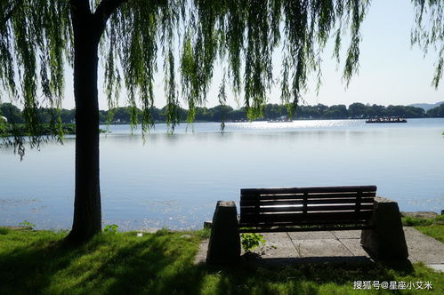 到了3月中旬,迎来好运势,财神相伴,富贵安康的4个生肖