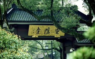 影像城市 聆听杭州 用世界的语言,唱一首杭州的歌