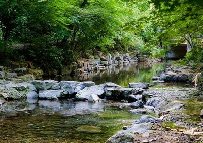 杭州旅游全攻略 诗画江南，人间天堂的完美之旅